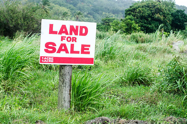 Covid-19: Land prices fall, rental income expected to decline